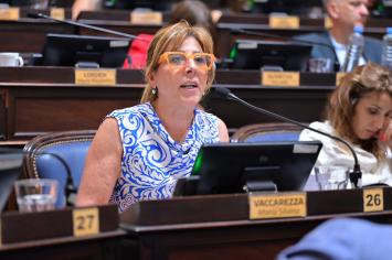 Tránsito: el Senado bonaerense convirtió en ley el proyecto que actualiza las prioridades de paso en la Provincia